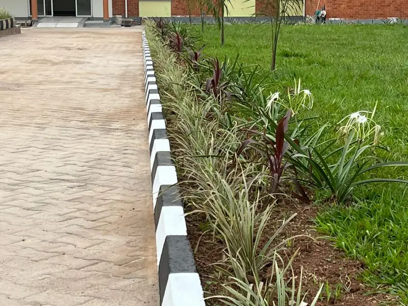 CIAT and Bioversity — photograph 2